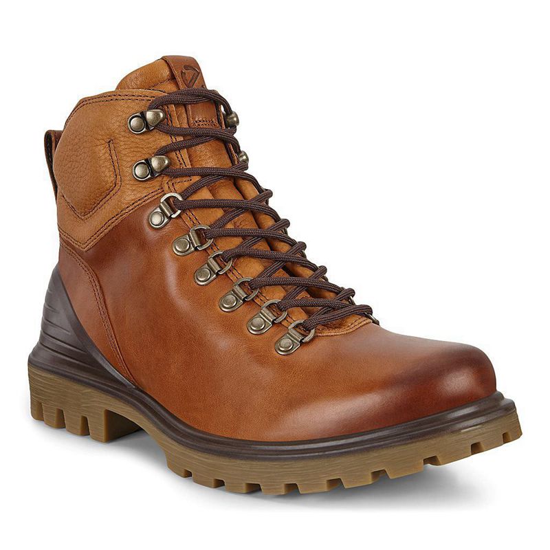 Botas De Montaña Ecco Track 25 Para Hombre,Marrones,419265-NMS